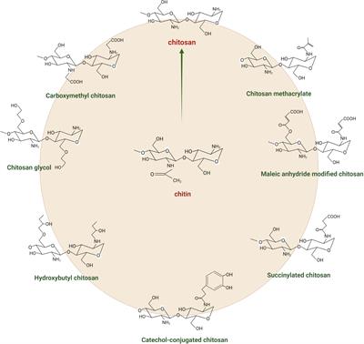 Chitosan-induced biotic stress tolerance and crosstalk with phytohormones, antioxidants, and other signalling molecules